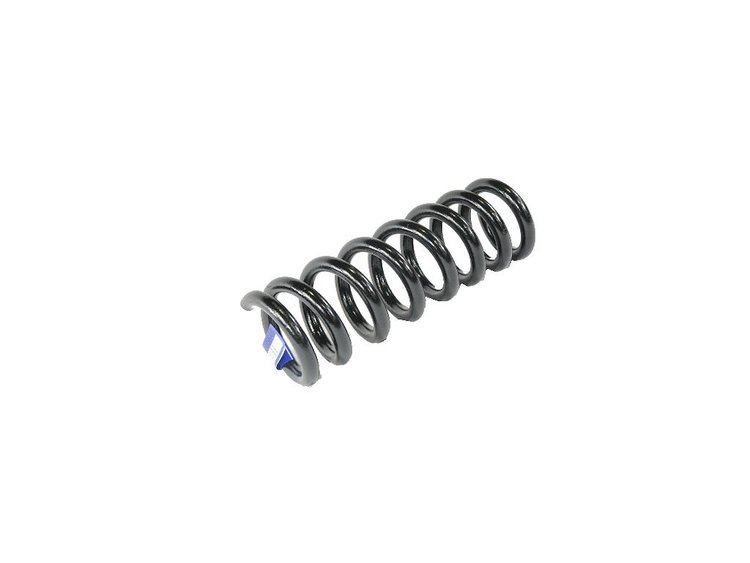 SPRING REAR COIL