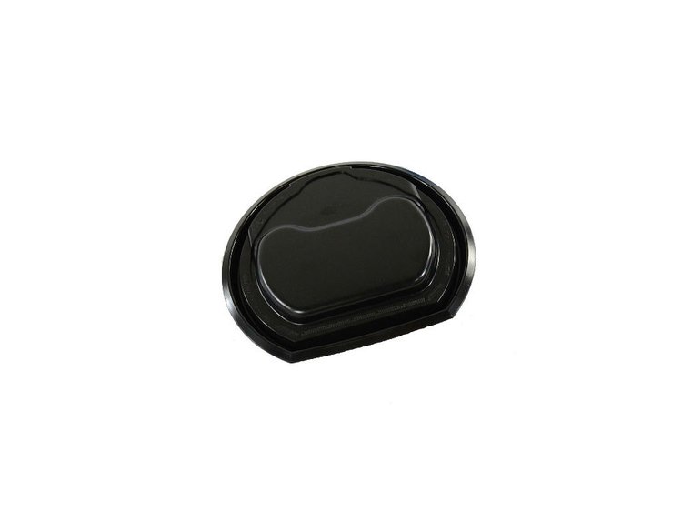 COVER FUEL PUMP ACCESS