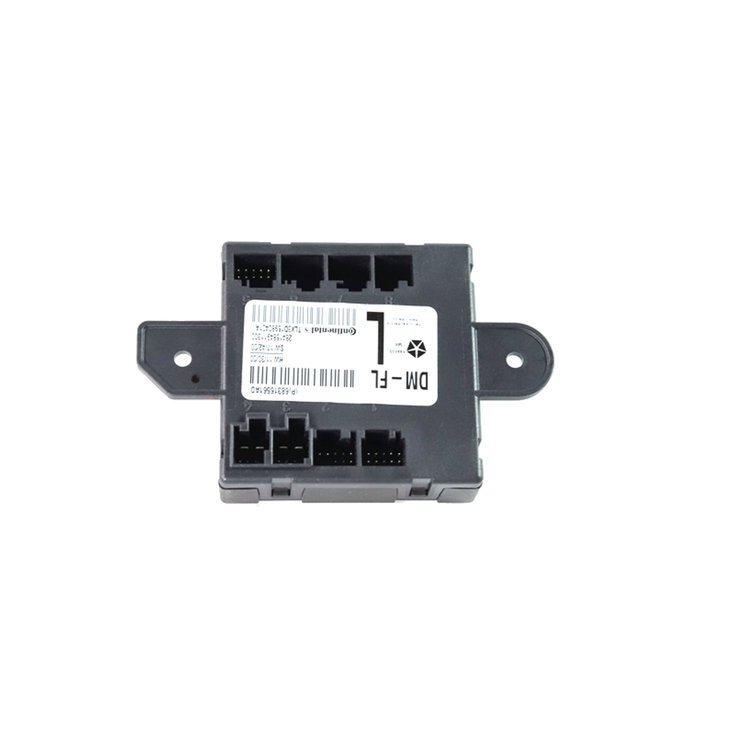 MODULE DOOR