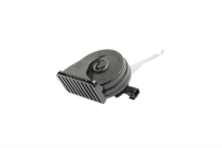 HORN