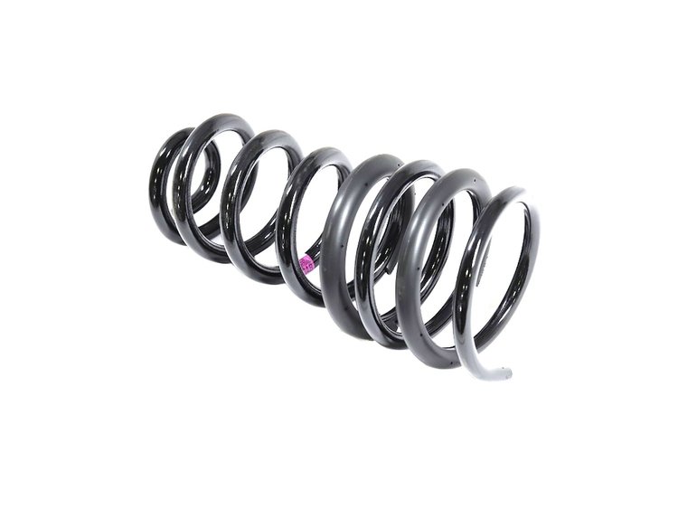 SPRING REAR COIL