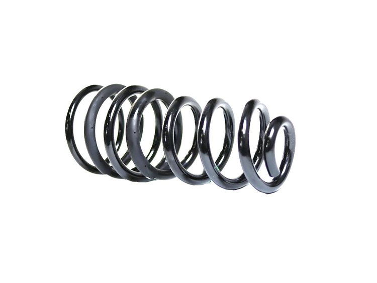 SPRING REAR COIL
