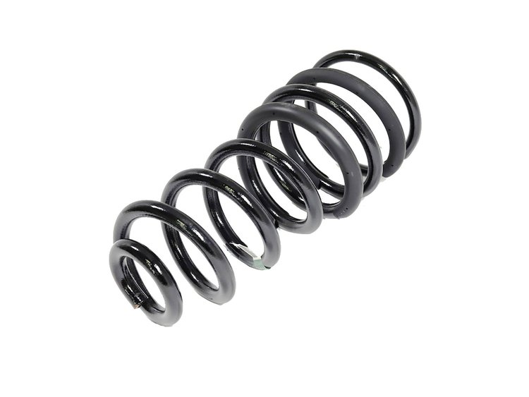 SPRING REAR COIL