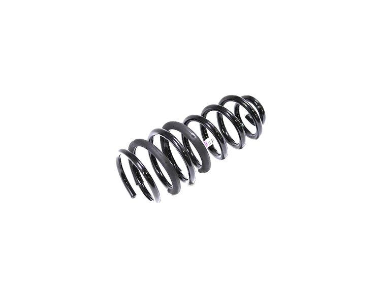 SPRING REAR COIL