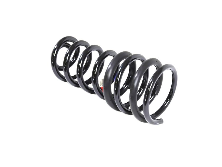 SPRING REAR COIL