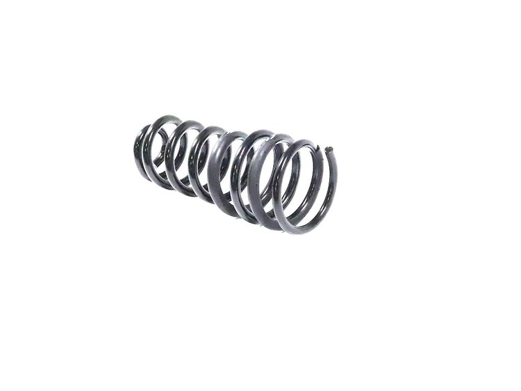 SPRING REAR COIL
