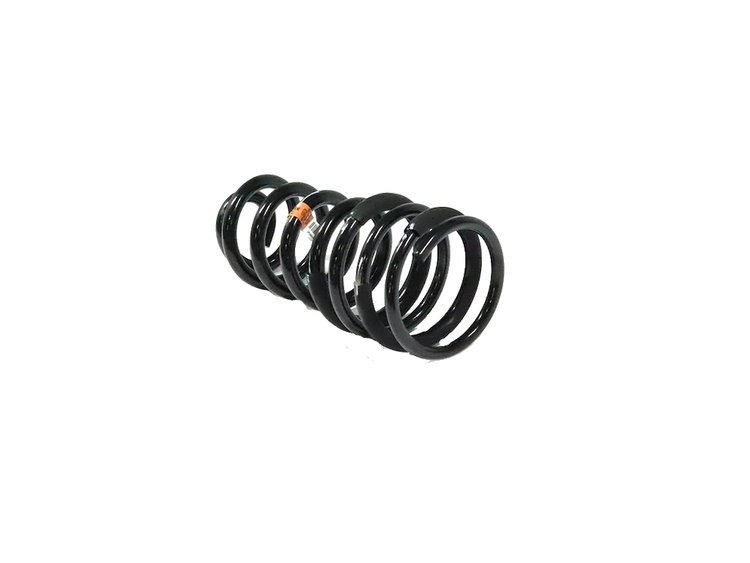 SPRING REAR COIL
