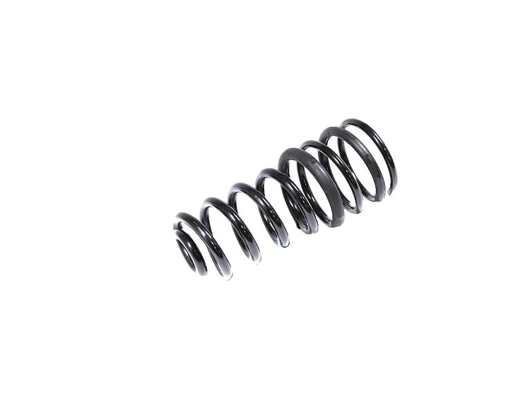 SPRING REAR COIL
