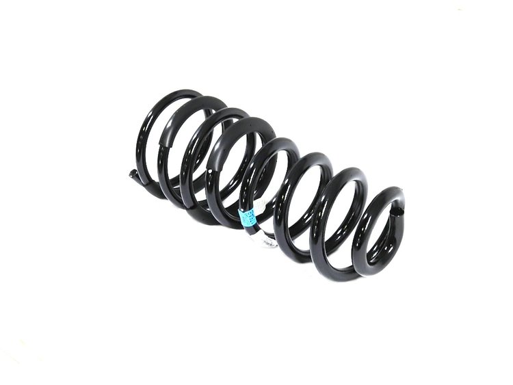 SPRING REAR COIL