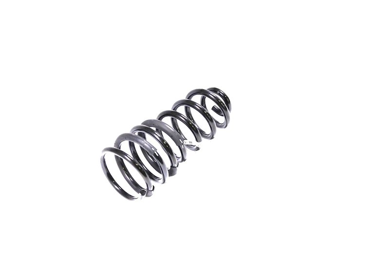 SPRING REAR COIL