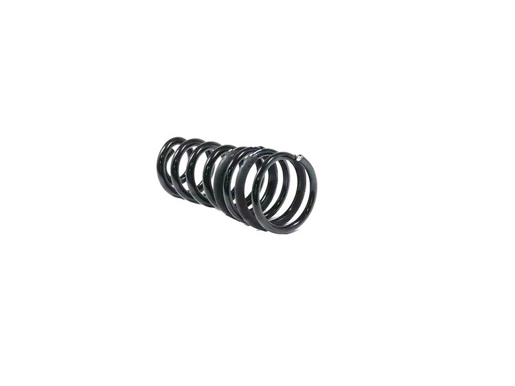 SPRING REAR COIL