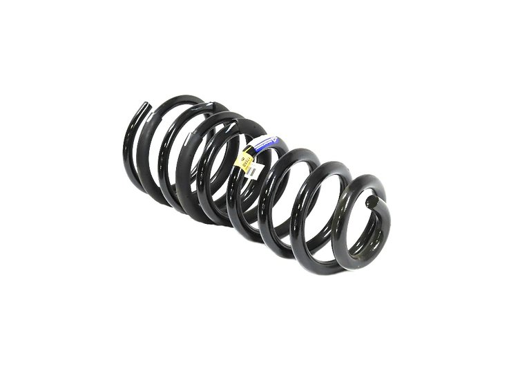 SPRING REAR COIL