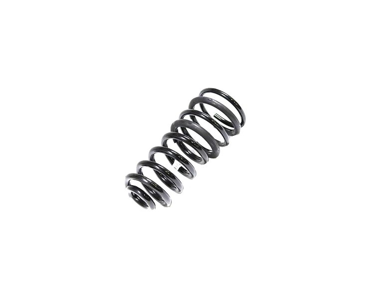 SPRING REAR COIL