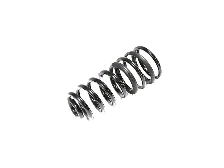 SPRING REAR COIL