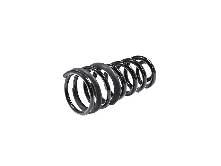SPRING REAR COIL