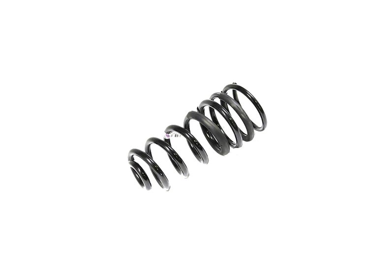SPRING REAR COIL