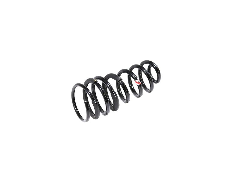 SPRING REAR COIL