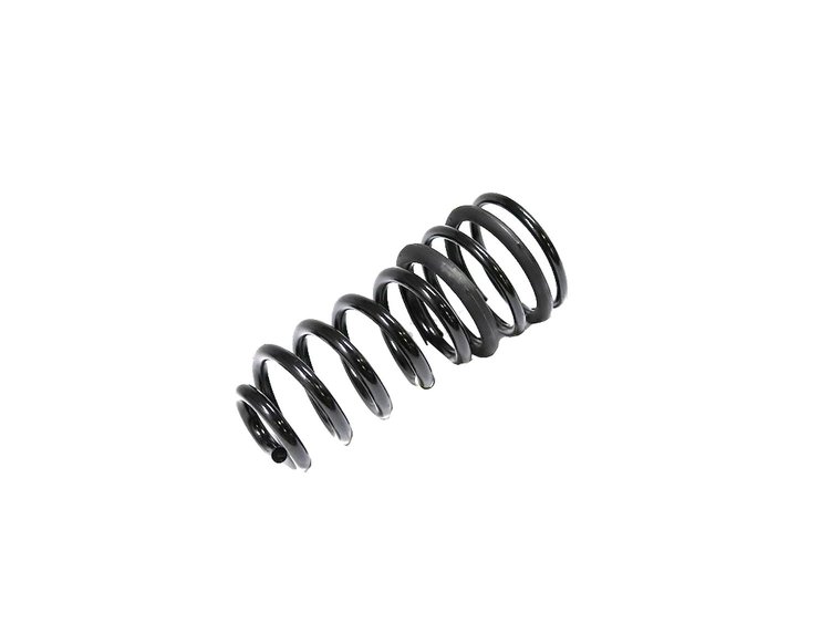 SPRING REAR COIL