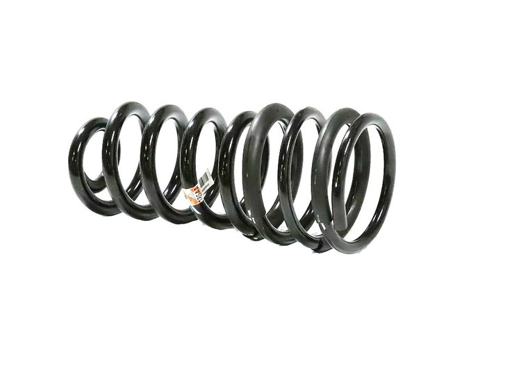 SPRING REAR COIL