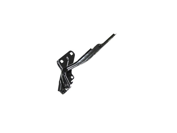 HINGE HOOD