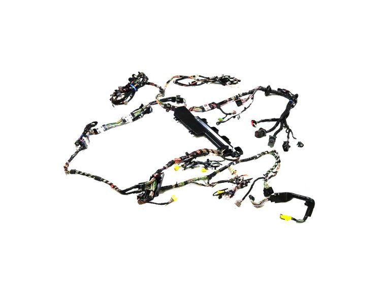 WIRING BODY