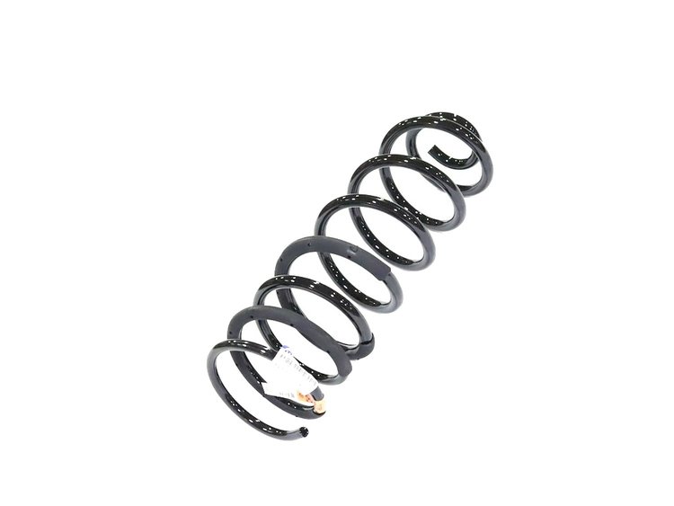 SPRING REAR COIL