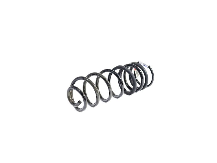 SPRING REAR COIL