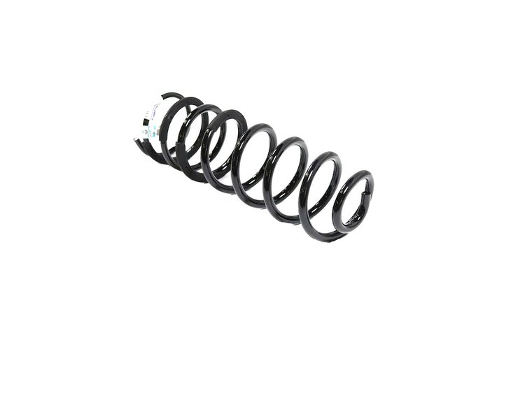 SPRING REAR COIL