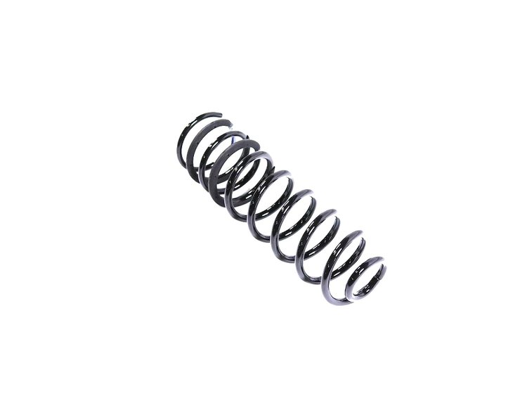 SPRING REAR COIL