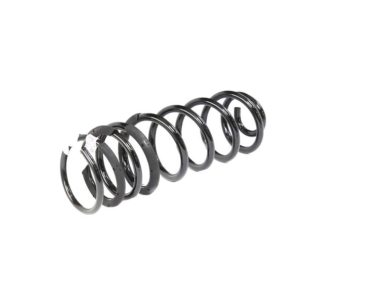 SPRING REAR COIL