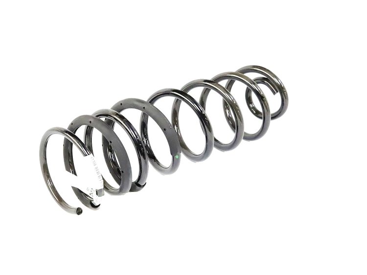 SPRING REAR COIL