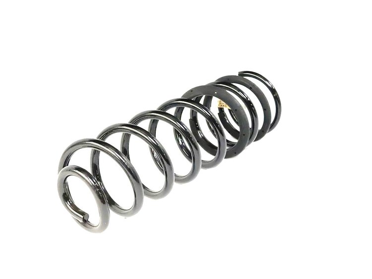 SPRING REAR COIL