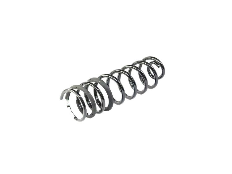 SPRING REAR COIL