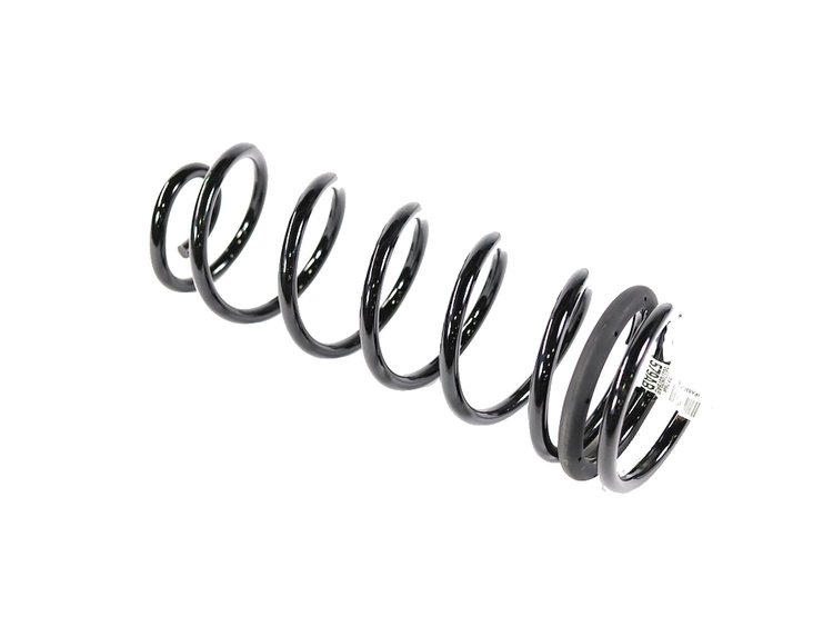 SPRING REAR COIL