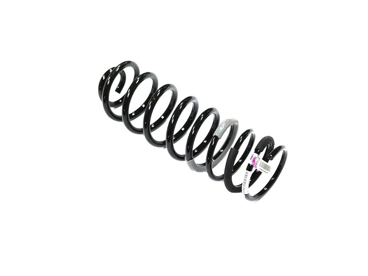 SPRING REAR COIL