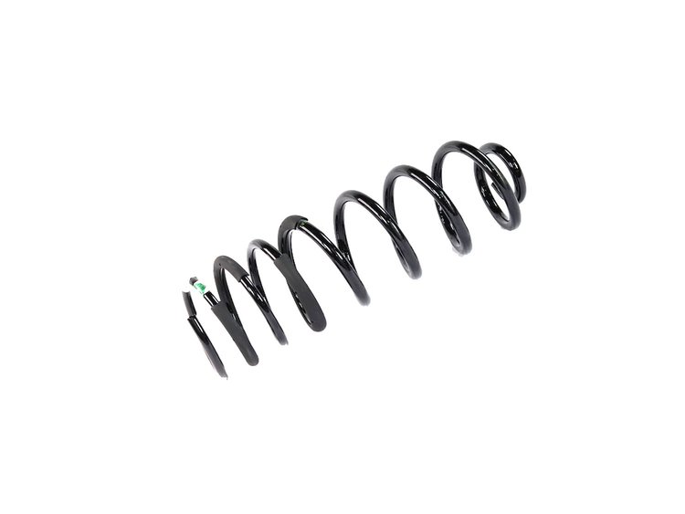 SPRING REAR COIL