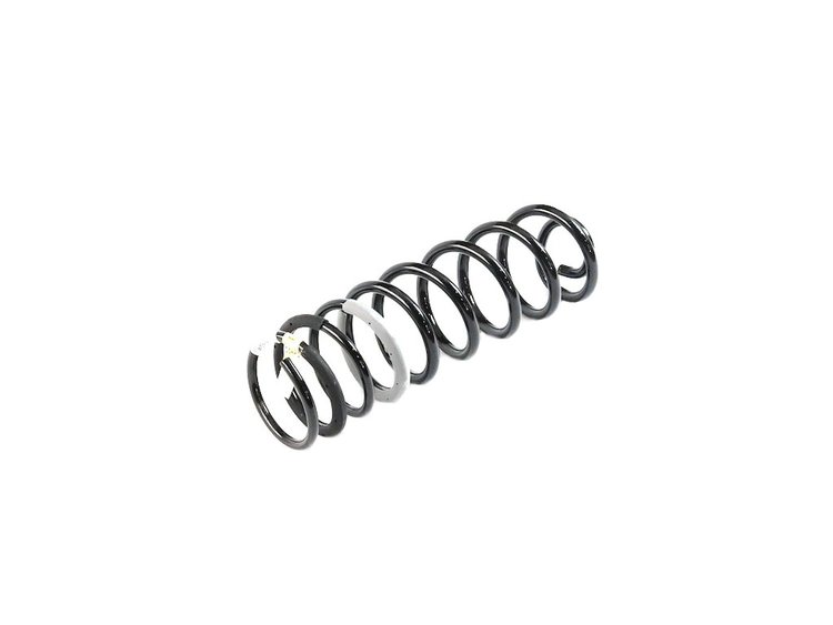 SPRING REAR COIL