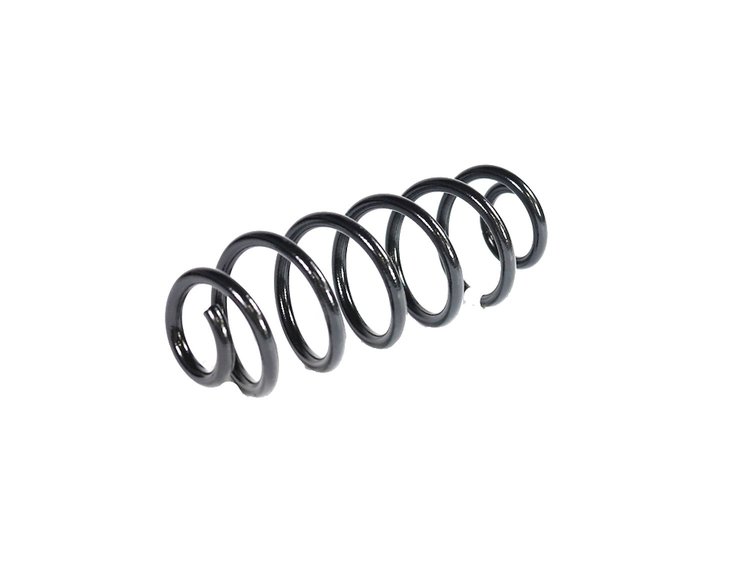 SPRING REAR COIL
