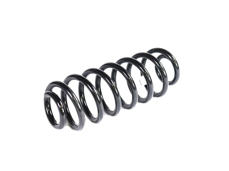 SPRING REAR COIL