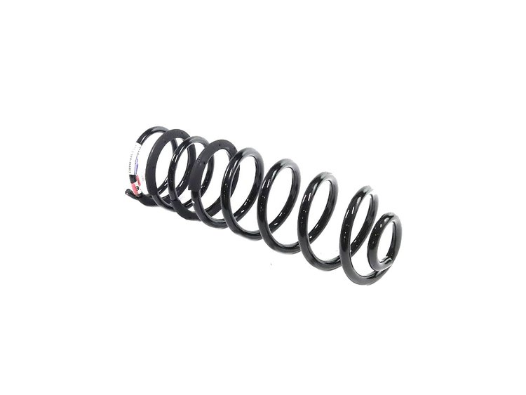 SPRING REAR COIL