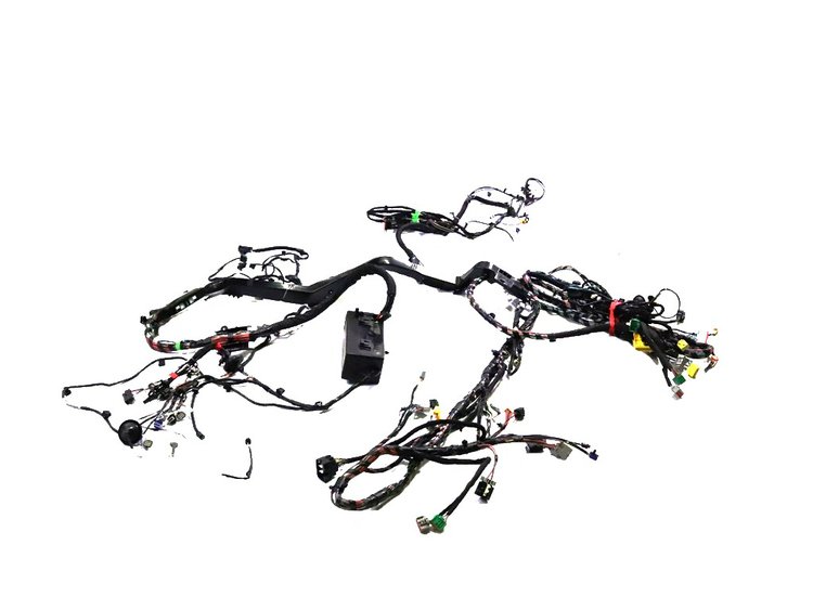 WIRING BODY