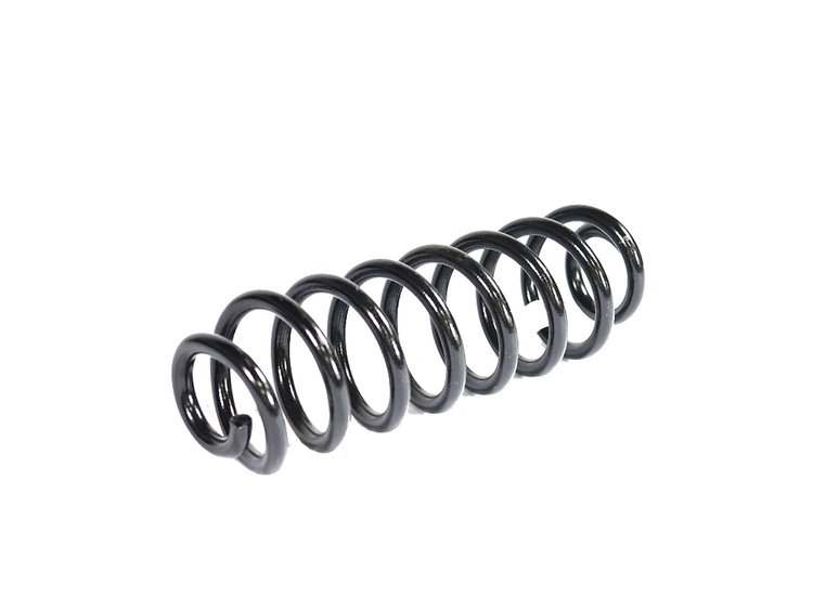 SPRING REAR COIL