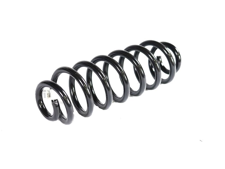 SPRING REAR COIL