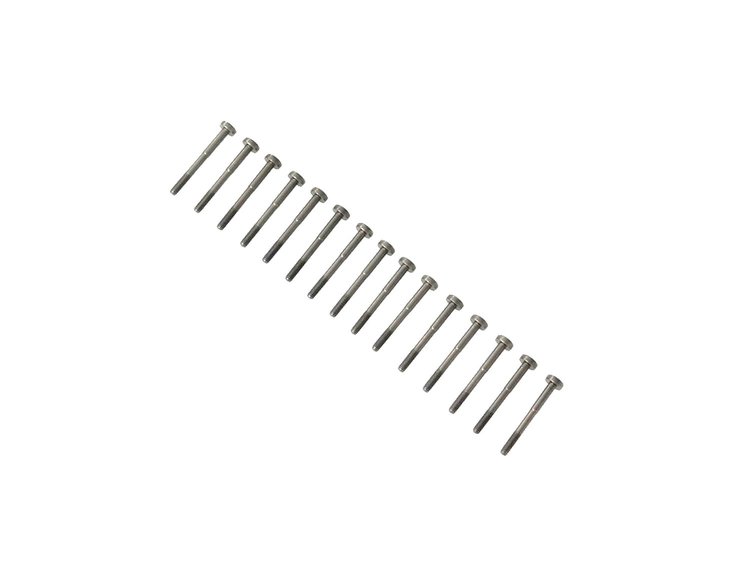 SCREW 6 LOBE