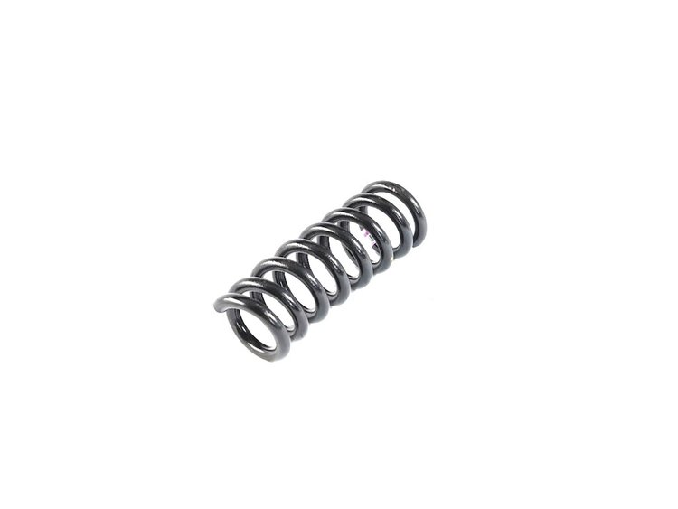 SPRING REAR COIL