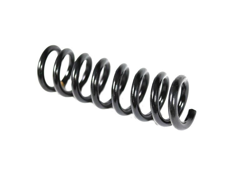 SPRING REAR COIL