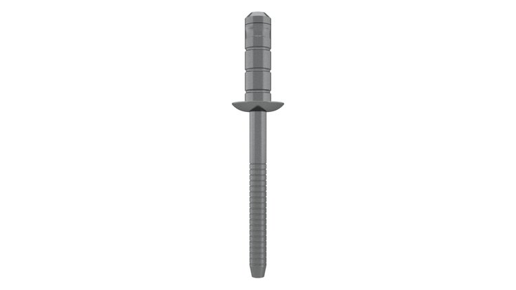 RIVET