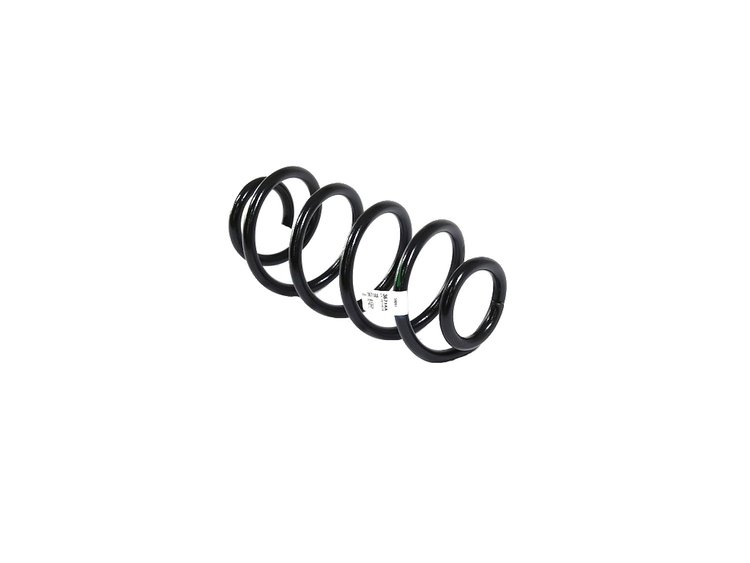 SPRING REAR COIL