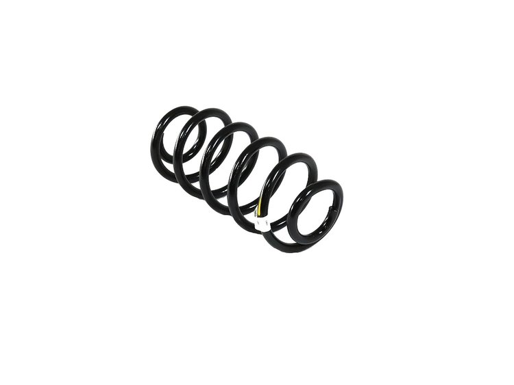 SPRING REAR COIL