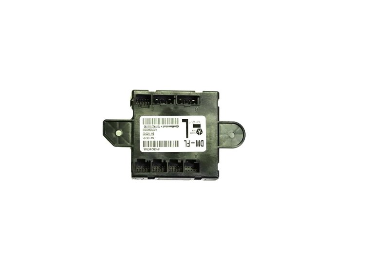 MODULE DOOR